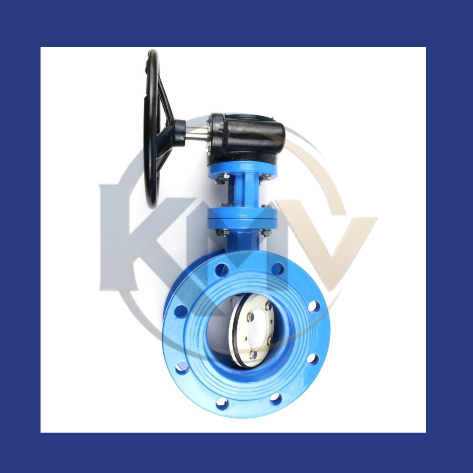 Double Offset Butterfly Valve
